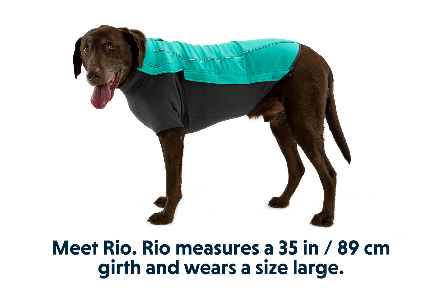 Cloud Chaser™ Dog Jacket