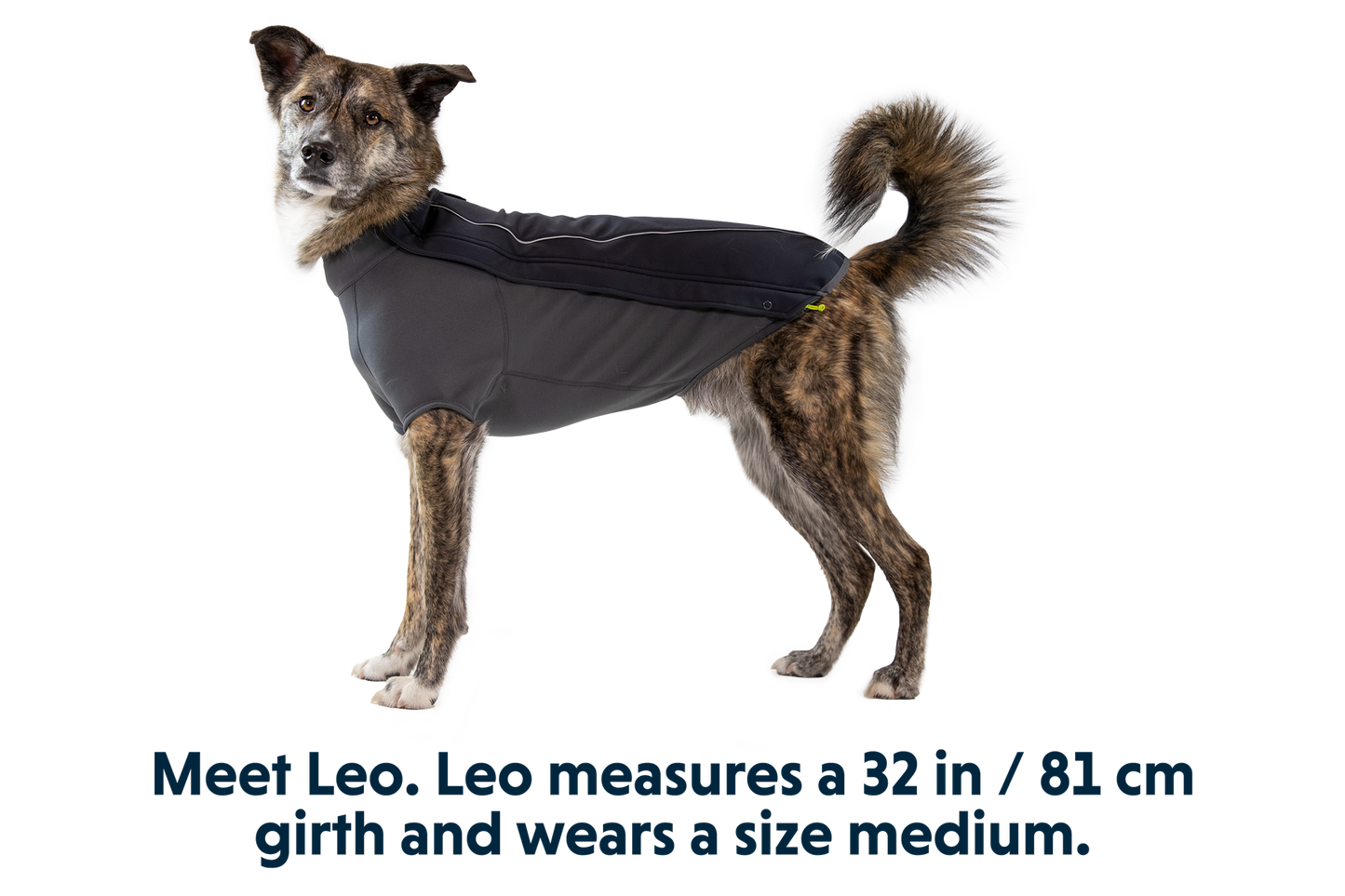 Cloud Chaser™ Dog Jacket