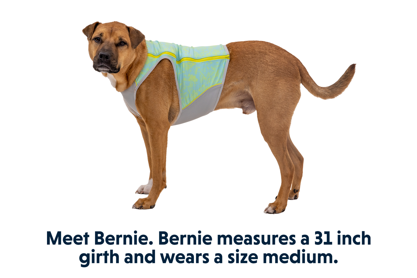Ruffwear Swamp Cooler™ Zip Vest – Aurora Teal