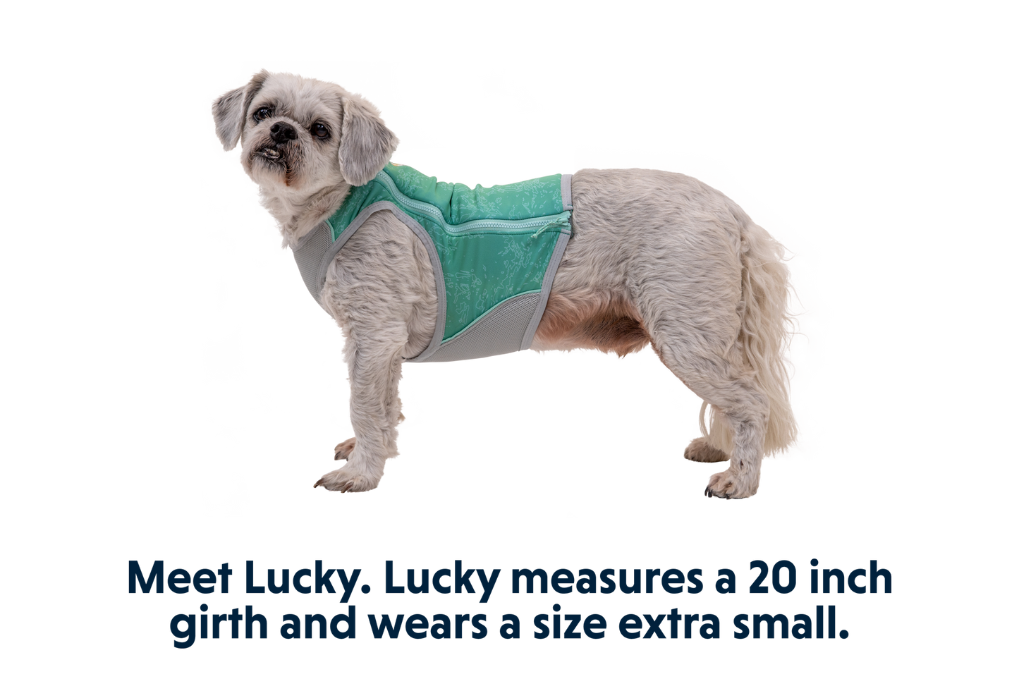 Ruffwear Swamp Cooler™ Zip Vest – Aurora Teal