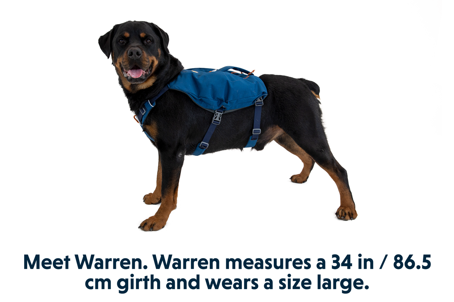 Ruffwear Switchbak™ Dog Harness