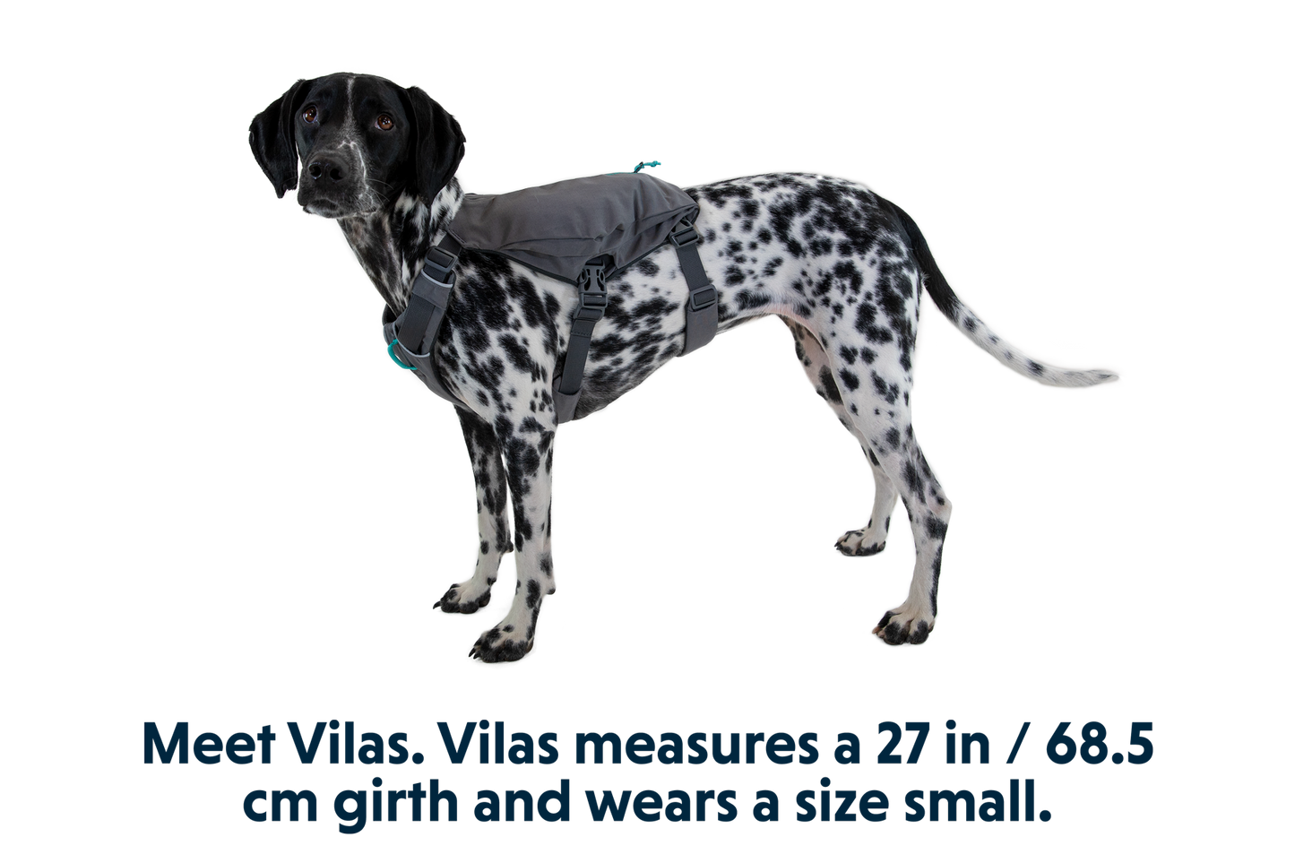 Ruffwear Switchbak™ Dog Harness