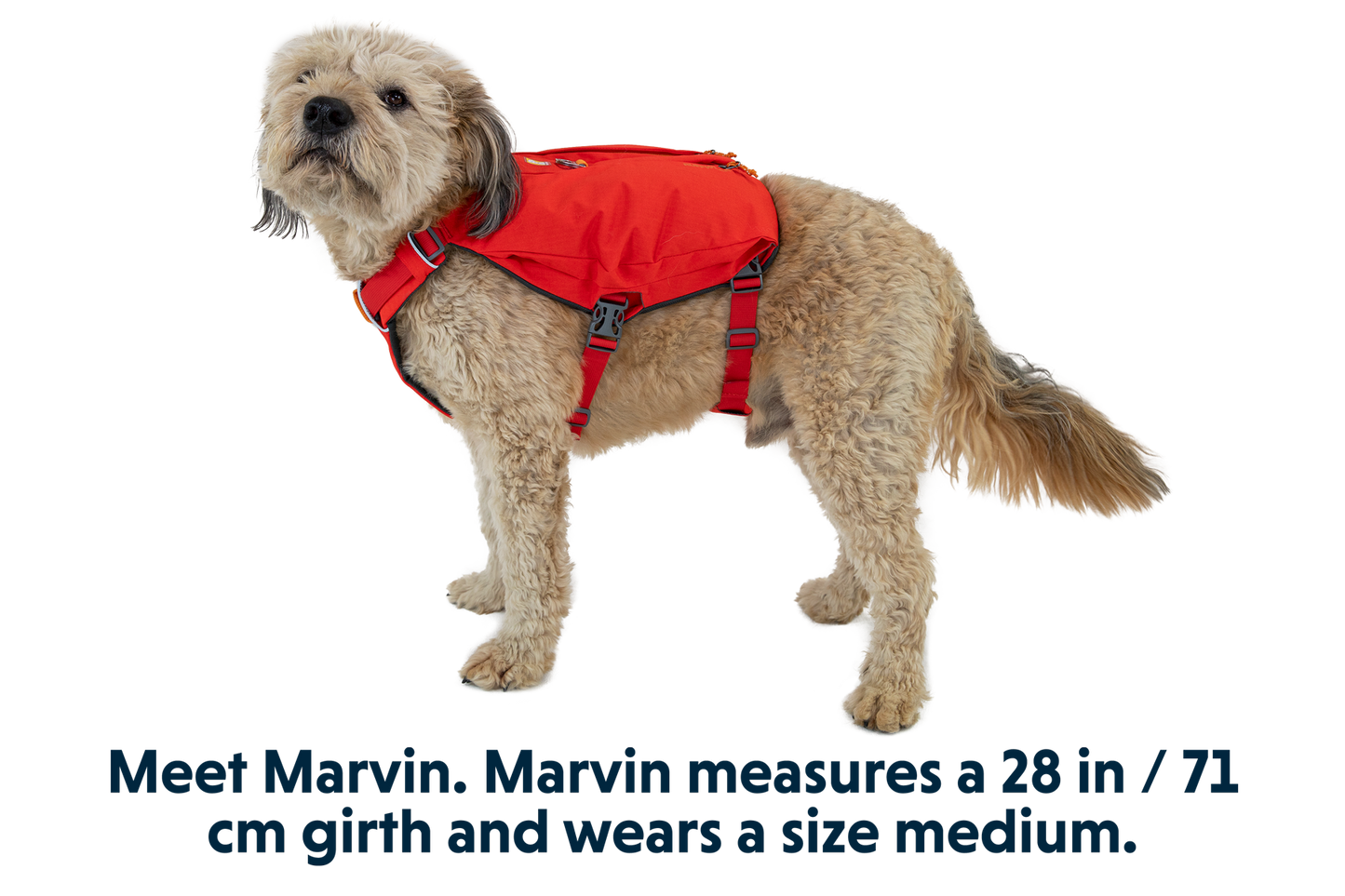 Ruffwear Switchbak™ Dog Harness