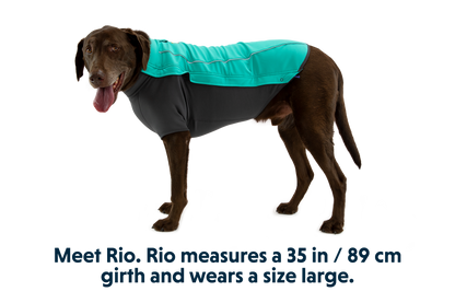 Cloud Chaser™ Dog Jacket