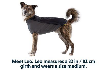 Cloud Chaser™ Dog Jacket