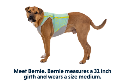 Ruffwear Swamp Cooler™ Zip Vest – Aurora Teal