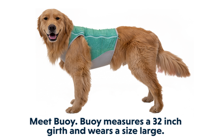 Ruffwear Swamp Cooler™ Zip Vest – Aurora Teal