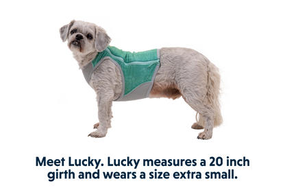 Ruffwear Swamp Cooler™ Zip Vest – Aurora Teal