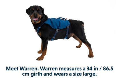 Ruffwear Switchbak™ Dog Harness