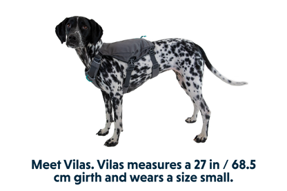 Ruffwear Switchbak™ Dog Harness